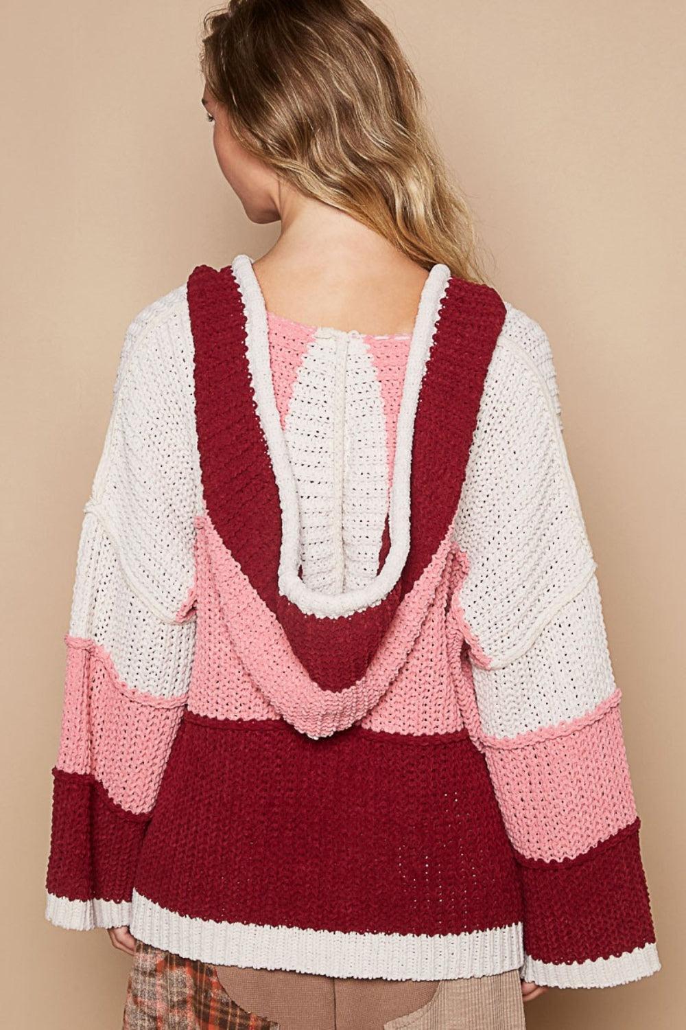 Pull à capuche à manches longues et blocs de couleurs POL